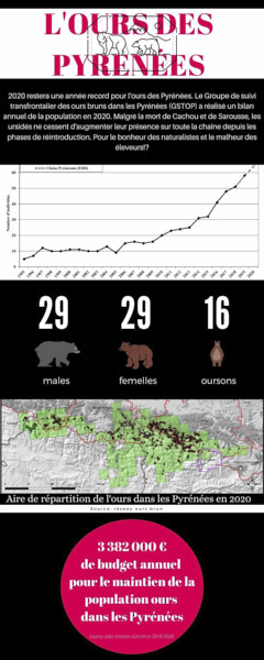 photo pyrénées: infographie de la population des ours dans les Pyrénées en 2021